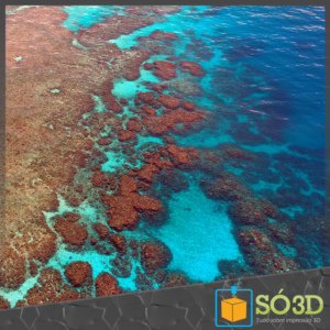 Prótese de Coral impressa em 3D pode salvar a Grande Barreira de Coral